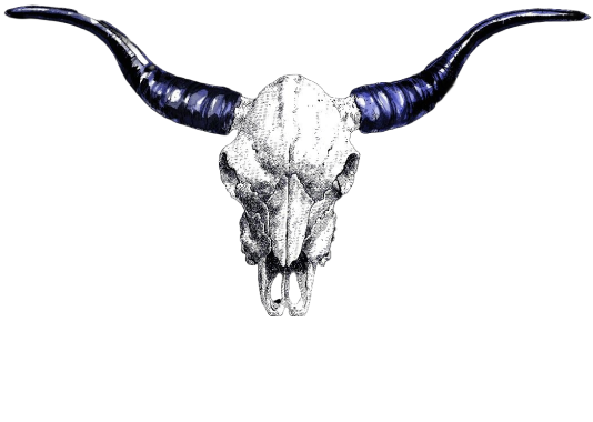 Skull logo